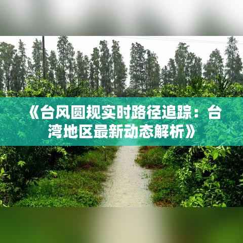 《台风圆规实时路径追踪：台湾地区最新动态解析》
