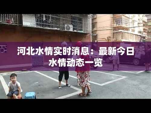河北水情实时消息：最新今日水情动态一览