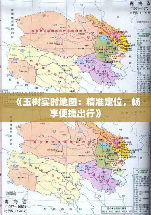 《玉树实时地图:精准定位,畅享便捷出行》