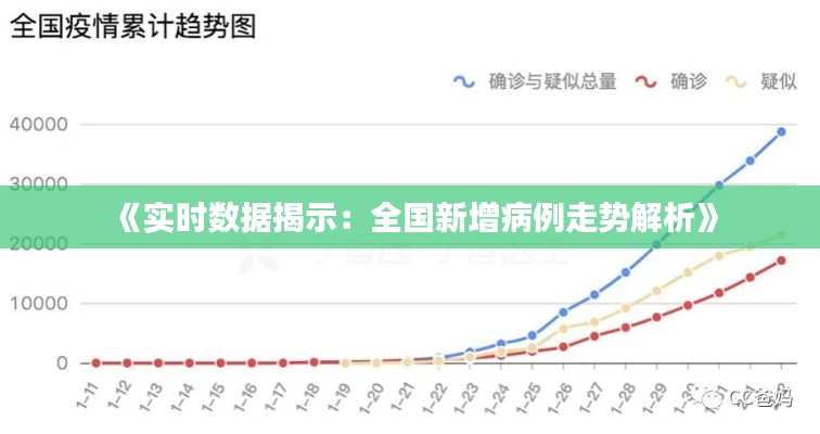 《实时数据揭示：全国新增病例走势解析》