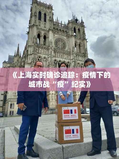 《上海实时确诊追踪：疫情下的城市战“疫”纪实》