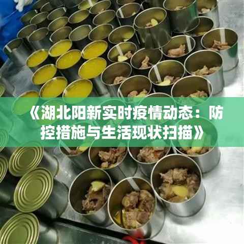 《湖北阳新实时疫情动态：防控措施与生活现状扫描》