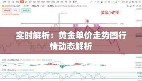 实时解析：黄金单价走势图行情动态解析