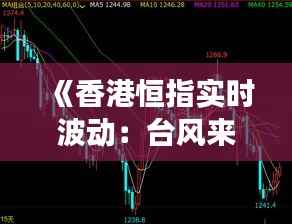 《香港恒指实时波动：台风来袭，市场如何应对？》