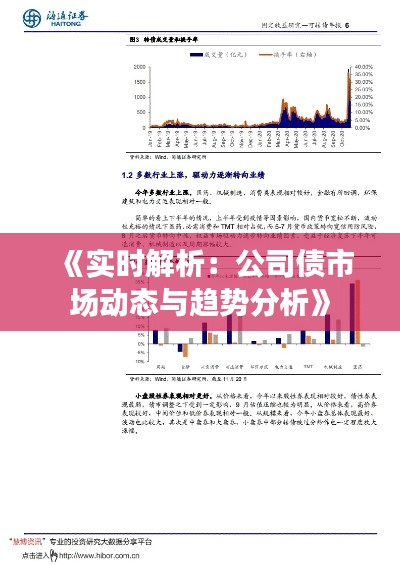 《实时解析：公司债市场动态与趋势分析》