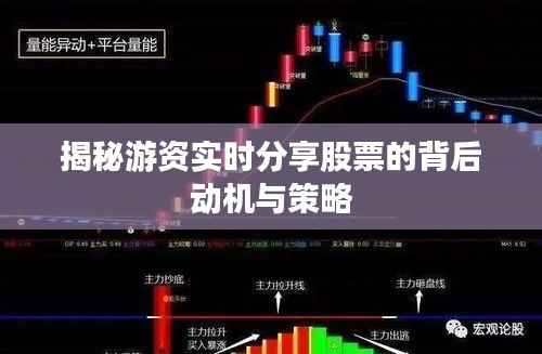 揭秘游资实时分享股票的背后动机与策略