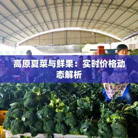 高原夏菜与鲜果：实时价格动态解析