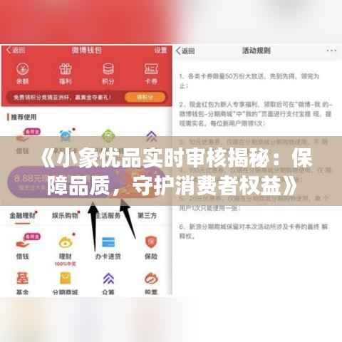 《小象优品实时审核揭秘：保障品质，守护消费者权益》