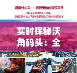 实时探秘沃角码头：全景直播带你领略海上繁华