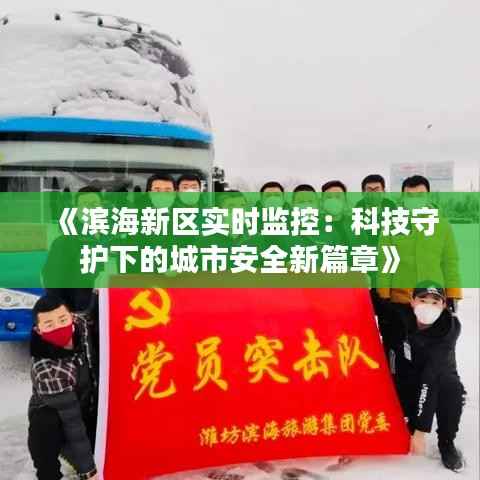 《滨海新区实时监控：科技守护下的城市安全新篇章》