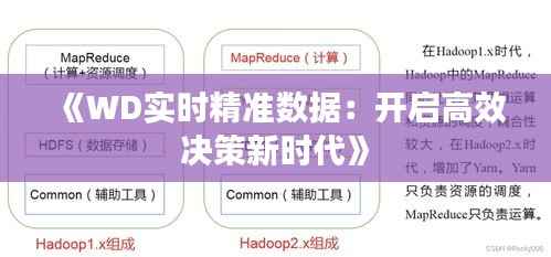 《WD实时精准数据：开启高效决策新时代》