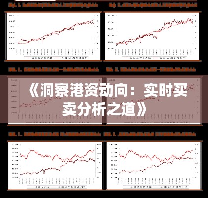 《洞察港资动向：实时买卖分析之道》