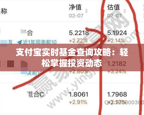 支付宝实时基金查询攻略：轻松掌握投资动态
