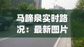 马蹄泉实时路况：最新图片呈现畅通与拥堵