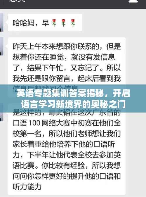 英语专题集训答案揭秘，开启语言学习新境界的奥秘之门