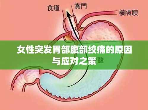 女性突发胃部腹部绞痛的原因与应对之策