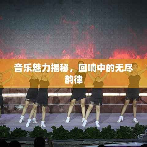 音乐魅力揭秘，回响中的无尽韵律