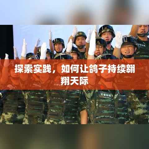 探索实践，如何让鸽子持续翱翔天际