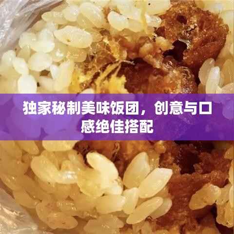 独家秘制美味饭团，创意与口感绝佳搭配