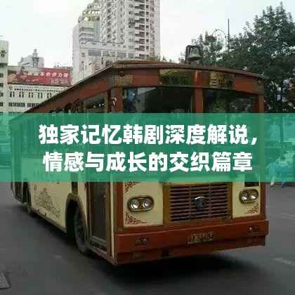 独家记忆韩剧深度解说，情感与成长的交织篇章