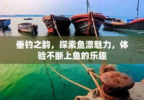 垂钓之韵，探索鱼漂魅力，体验不断上鱼的乐趣