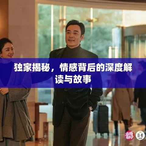 独家揭秘，情感背后的深度解读与故事