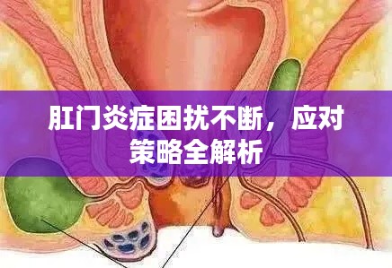 肛门炎症困扰不断，应对策略全解析