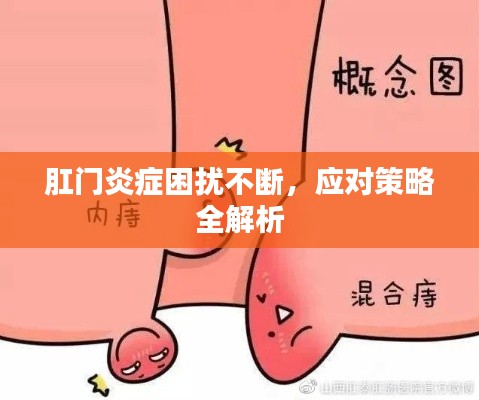肛门炎症困扰不断,应对策略全解析