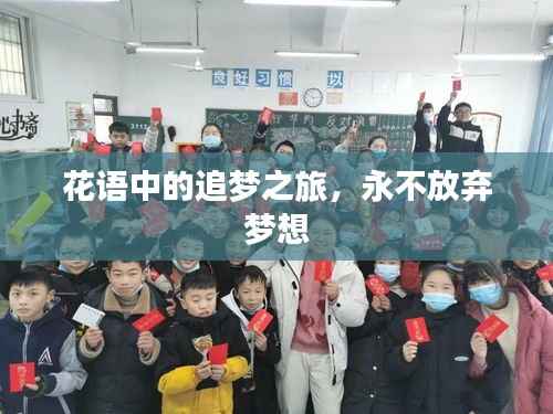 花语中的追梦之旅，永不放弃梦想