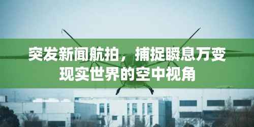 无影无踪 第4页