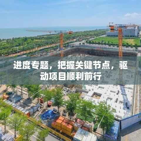 进度专题，把握关键节点，驱动项目顺利前行