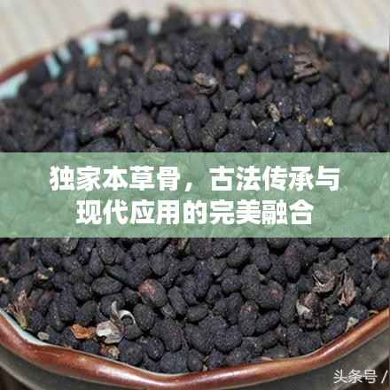 独家本草骨,古法传承与现代应用的完美融合