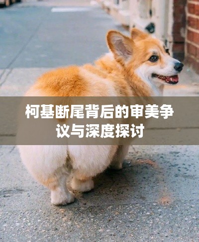 柯基断尾背后的审美争议与深度探讨