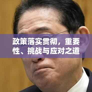 政策落实贯彻，重要性、挑战与应对之道