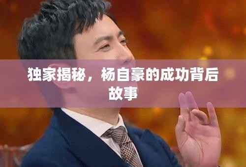 独家揭秘，杨自豪的成功背后故事