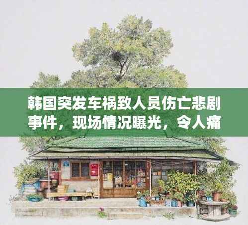 韩国突发车祸致人员伤亡悲剧事件，现场情况曝光，令人痛心！