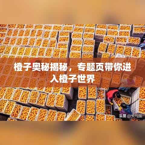 橙子奥秘揭秘，专题页带你进入橙子世界