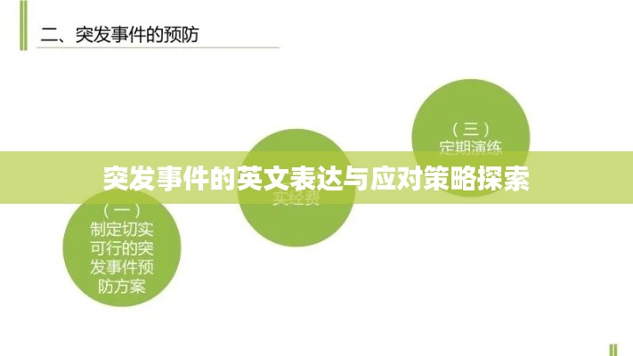 突发事件的英文表达与应对策略探索