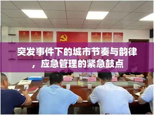 突发事件下的城市节奏与韵律，应急管理的紧急鼓点