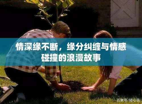 情深缘不断，缘分纠缠与情感碰撞的浪漫故事