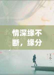 情深缘不断,缘分纠缠与情感碰撞的浪漫故事
