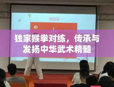 独家猴拳对练，传承与发扬中华武术精髓