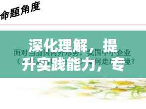 深化理解，提升实践能力，专题研究的关键之道