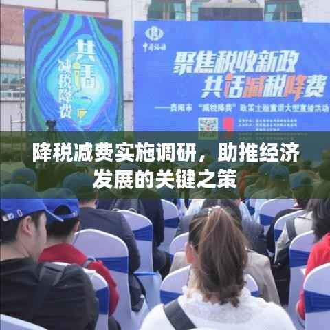 降税减费实施调研，助推经济发展的关键之策