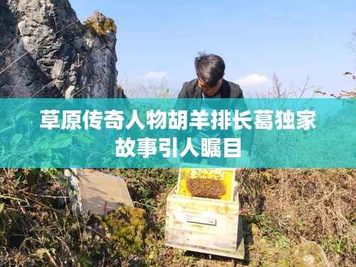 草原传奇人物胡羊排长葛独家故事引人瞩目