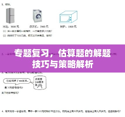 专题复习，估算题的解题技巧与策略解析
