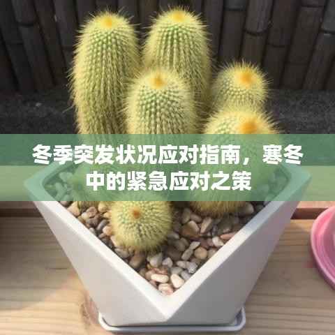 冬季突发状况应对指南,寒冬中的紧急应对之策