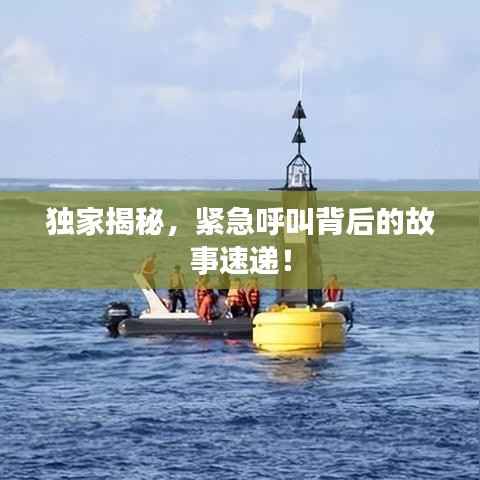 独家揭秘，紧急呼叫背后的故事速递！