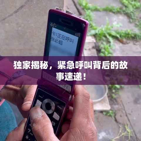 独家揭秘,紧急呼叫背后的故事速递!