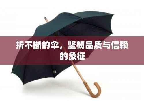 折不断的伞，坚韧品质与信赖的象征